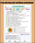 FEN BİLİMLERİ DEĞERLENDİRME