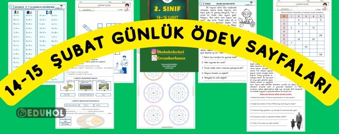 2. SINIF 14-15 ŞUBAT HAFTASONU ÖDEVLER