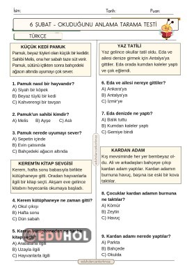 2. Sınıf Türkçe okuduğunu anlama testi