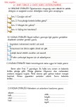 2. sınıf Türkçe 2. tema süreç değerlendirme sınavı