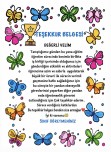 Veliye mektıp