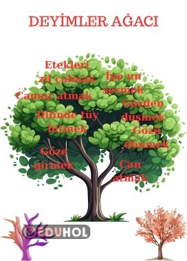 Deyimler Ağacı