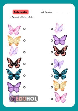 Renkli kelebekler etkinlik