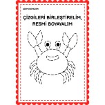 Çizgileri Birleştirelim, Resimleri Boyayalım