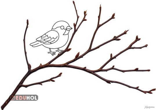 bahar dalı etkinliği2