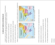 8.Sınıf 1.Ünite Değerlendirme Soruları