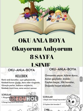 Oku Anla Boya  8 adet