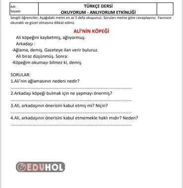 Okuduğunu anlama 5 adet