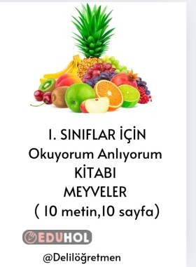 Okuyorum Anlıyorum kitabım 10 sayfa.