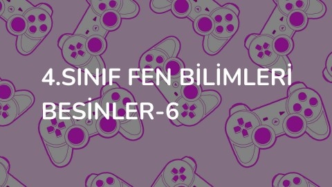 4.Sınıf Fen Bilimleri besinler-6