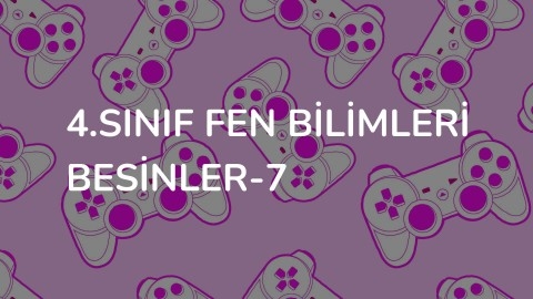 4.Sınıf Fen Bilimleri besinler-7