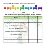 Asit ve Bazlar Çalışma Kağıdı