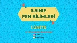 Ay'ın Evreleri Eşleştirme Etkinliği