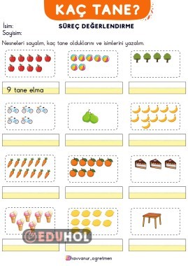 “KAÇ TANE?” Sayalım, yazalım.