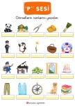 “P” HARFİ GÖRSEL DİKTE ETKİNLİĞİ