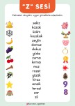“Z” SESİ OKU-EŞLEŞTİR ETKİNLİĞİ