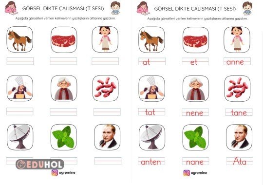 T SESİ GÖRSEL DİKTE ÇALIŞMASI VE CEVAP ANAHTARI