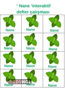 Nane defter etkinliği
