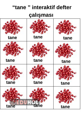Tane kelimesi defter çalışması