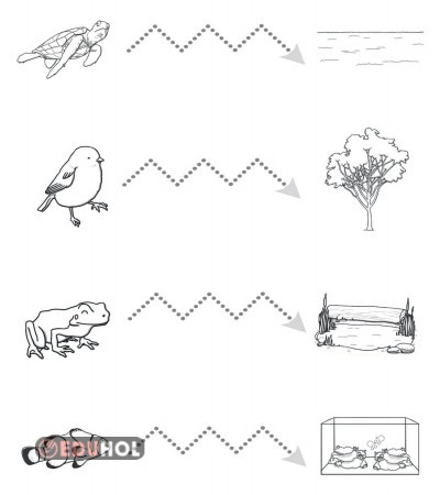 Çizgileri takip et ve ulaştır yerine