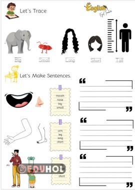 3. tema sıfatlar (trace&making sentences)