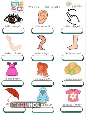 yes no questions