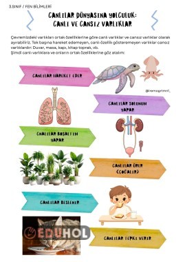 CANLILAR DÜNYASINA YOLCULUK- CANLI VE CANSIZ VARLIKLAR DEFTER NOTU
