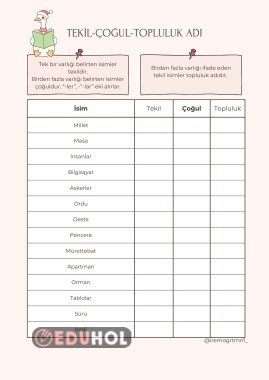 Tekil-Çoğul-Topluluk Adı Etkinlik