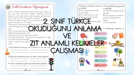 Okuduğunu Anlama ve Zıt Anlamlı Kelimeler Çalışması (Hafta Sonu Ödevi Olabilir)