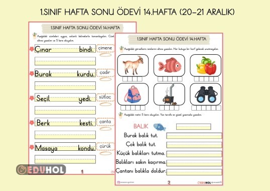 1.SINIF HAFTA SONU ÖDEVİ 14.HAFTA ( 20-21 ARALIK İÇİN)