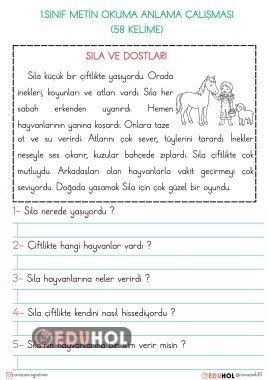 1.SINIF OKUMA ANLAMA METİNLERİ-SILA VE DOSTLARI (58 KELİME)