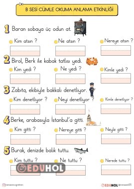 B SESİ CÜMLE OKUMA ANLAMA ETKİNLİĞİ