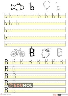B SESİ YAZMA ÇALIŞMASI ÖDEV