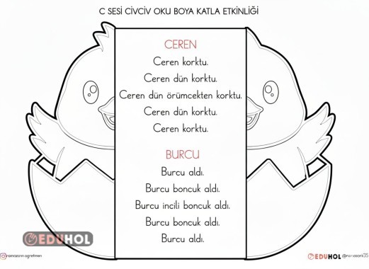 C SESİ CİVCİV OKU BOYA KATLA ETKİNLİĞİ