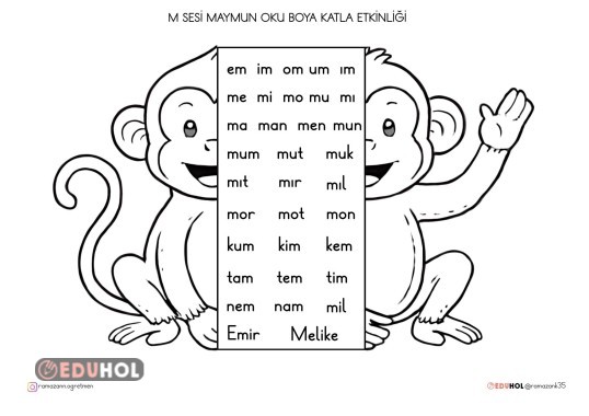 M SESİ MAYMUN OKU BOYA KATLA ETKİNLİĞİ