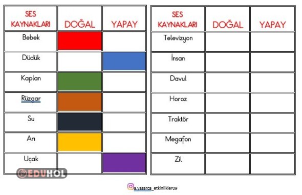 FEN BİLİMLERİ - SES KAYNAKLARI İNTERAKTİF DEFTER ÇALIMASI