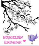 İlkbahar Sakura Çiçek Boyama