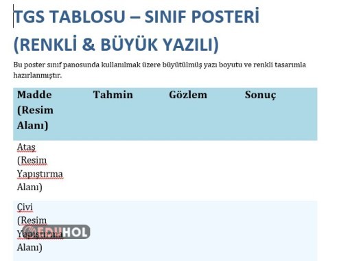 4. SINIF MIKNATISLAR TAHMİN GÖZLEM SONUÇ TABLOSU