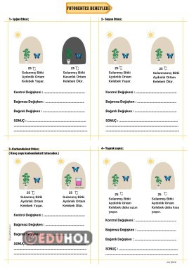 Fotosentez deneyleri