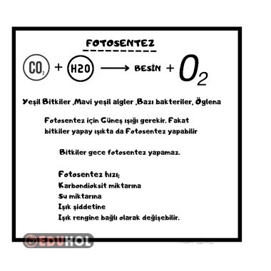 Fotosentez solunum konu özeti