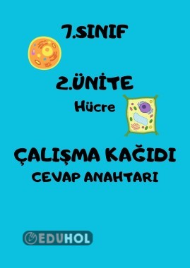 Hücre cevap anahtarı