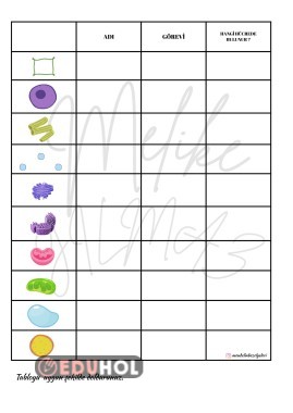 Organellerin görevini bulma