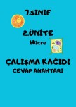 Hücre cevap anahtarı