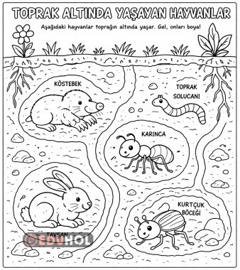 toprağın altında yaşayan hayvanlar