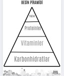 Fen bilimleri besin piramidi