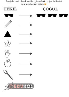TEKİL VE ÇOĞULU ÇİZEREK ÖĞRENİYORUZ