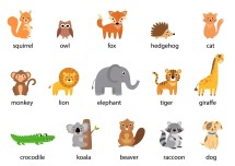 wild animals test