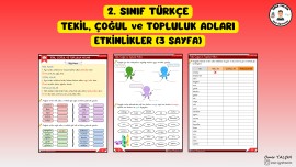 2. SINIF TÜRKÇE TEKİL, ÇOĞUL VE TOPLULUK ADLARI ETKİNLİKLER (3 SAYFA)