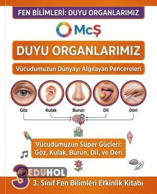 Duyu organları ve görevleri