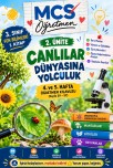 FB.4 .ve 5.Hafta Öğretmen klavuzu mutlaka indirin.planlama ve ölçekler